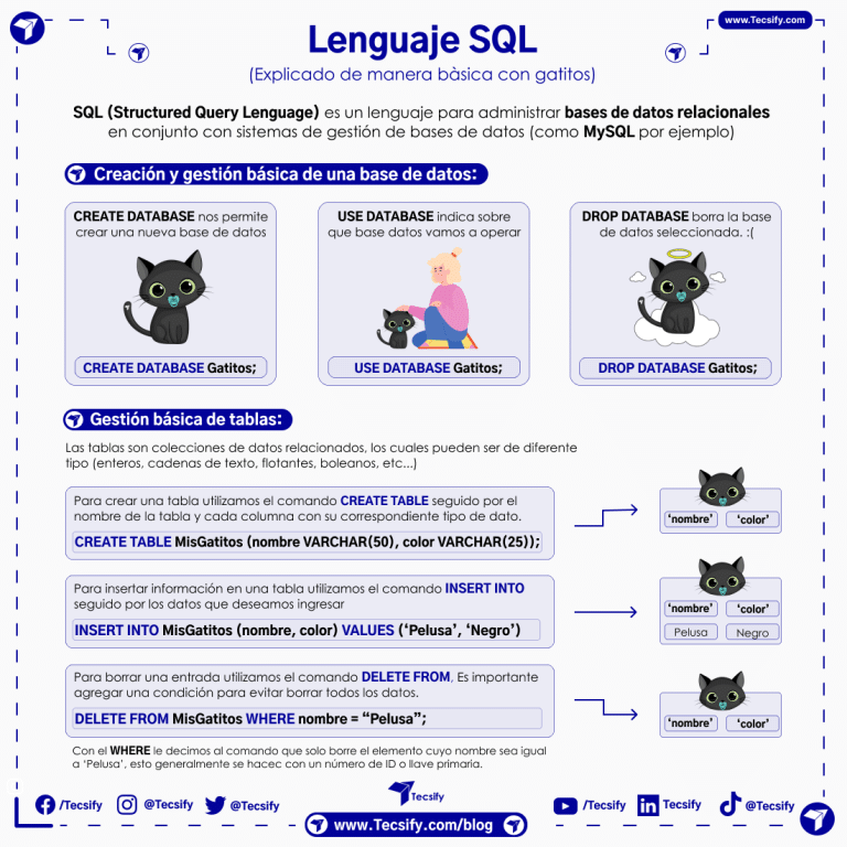 Que es SQL por Tecsify explicado con gatitos