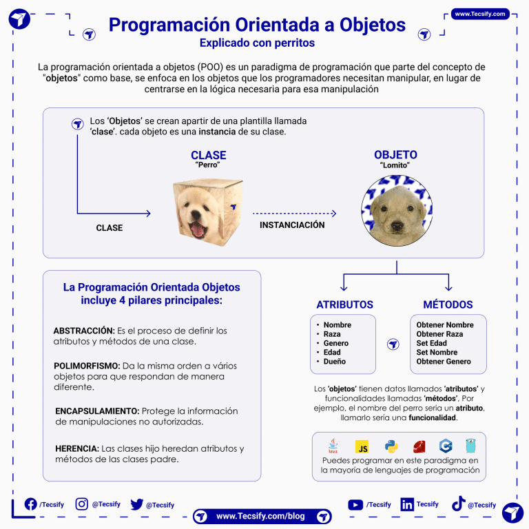 Programacion orientada a objetos por tecsify